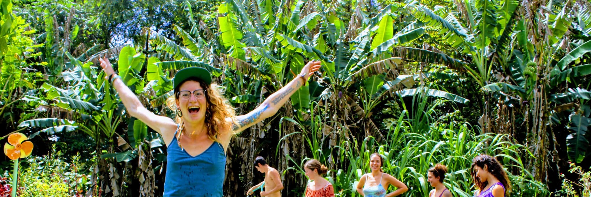 Banner Image